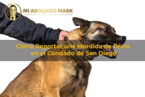 Cómo Reportar una Mordida de Perro en el Condado de San Diego