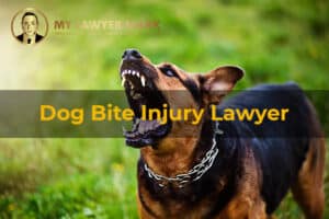 dog bite injury lawyer