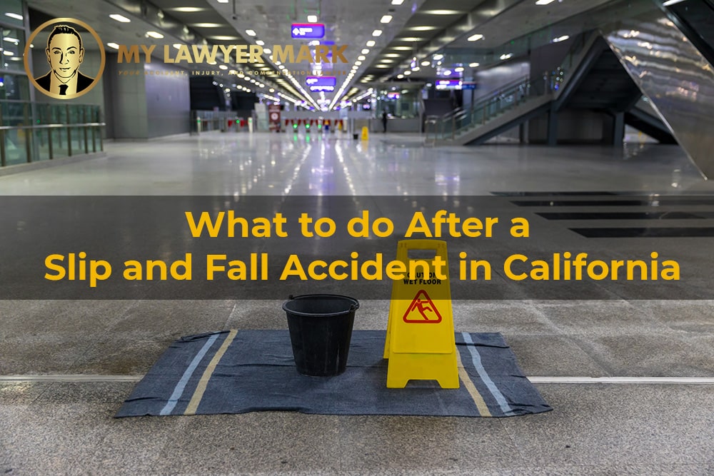 what to do after a slip and fall accident