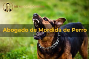 Abogado de Mordida de Perro