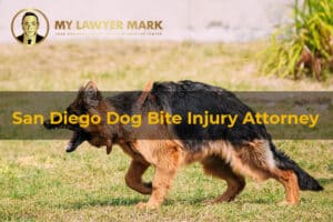 San Diego dog bite injury attorney