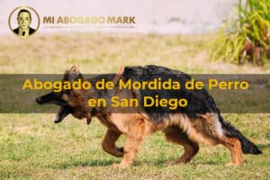 abogado de mordida de perro en San Diego