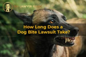 how long does a dog bite lawsuit take